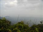 36 Bokor
